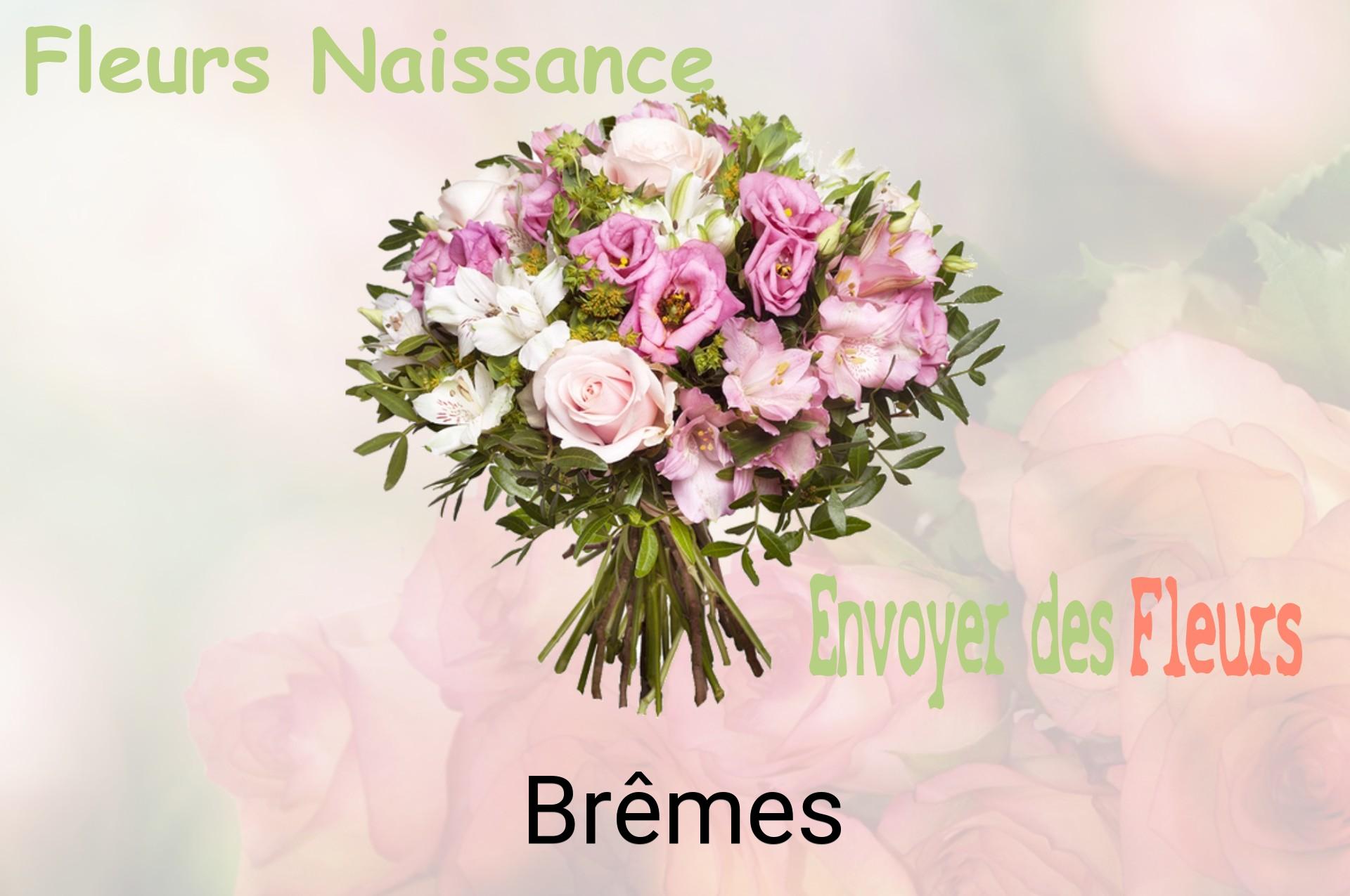 Bouquet de fleurs de naissance livré à Brêmes